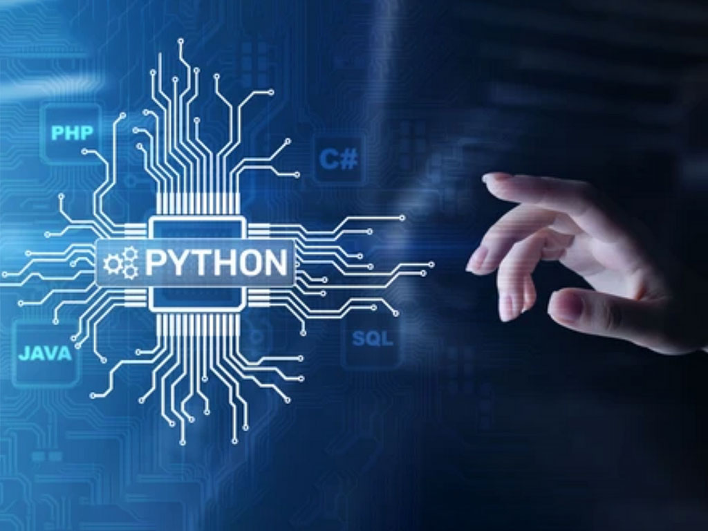 Python Programming: A Step-by-Step Guide to Mastering the Language ...